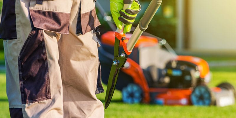 Lawn Care